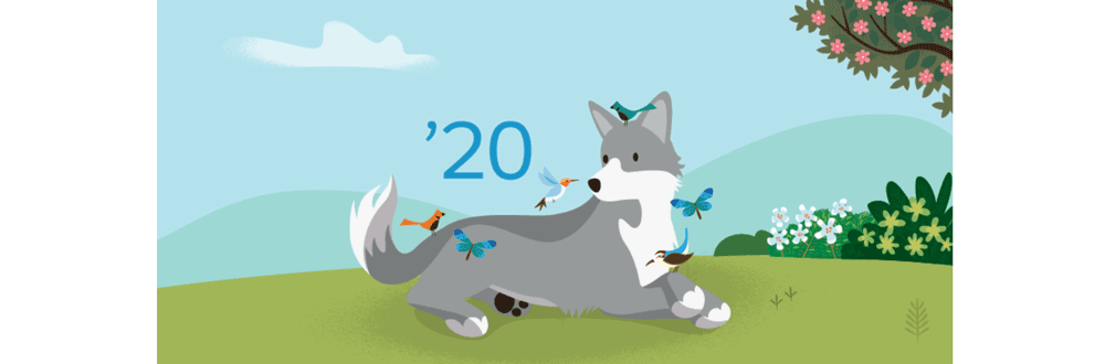 Salesforce Spring 2020