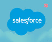 Salesforce Spring