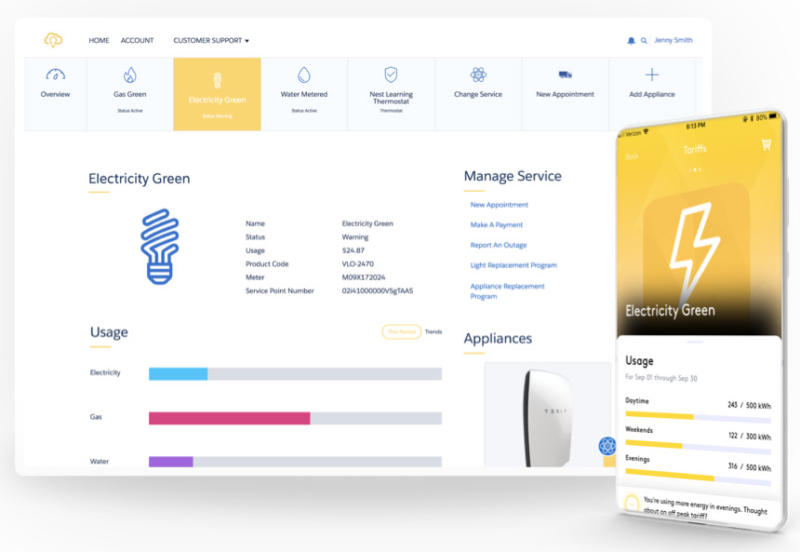 Energy-and-Utilities-Cloud Prüfungsinformationen